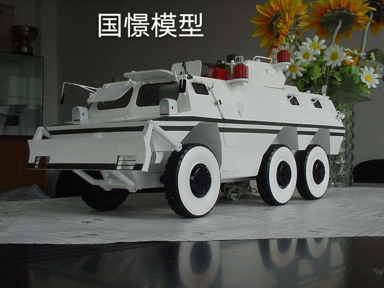 肃宁县军事模型