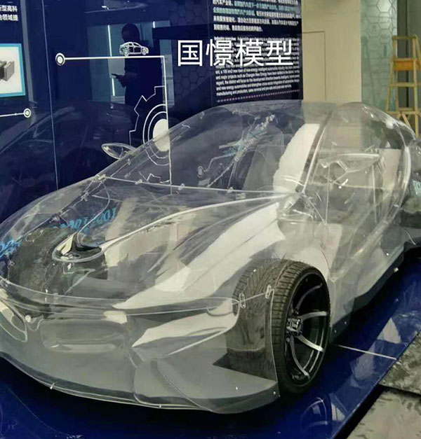 肃宁县透明车模型