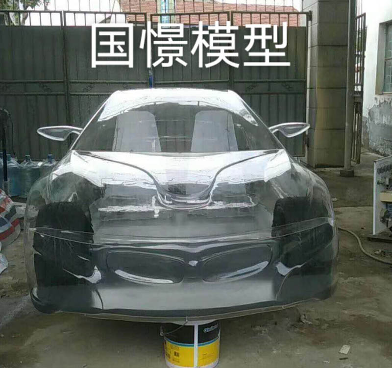 肃宁县透明车模型